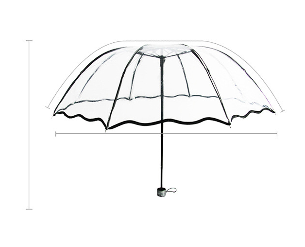 Transparent Umbrella Print Umbrella