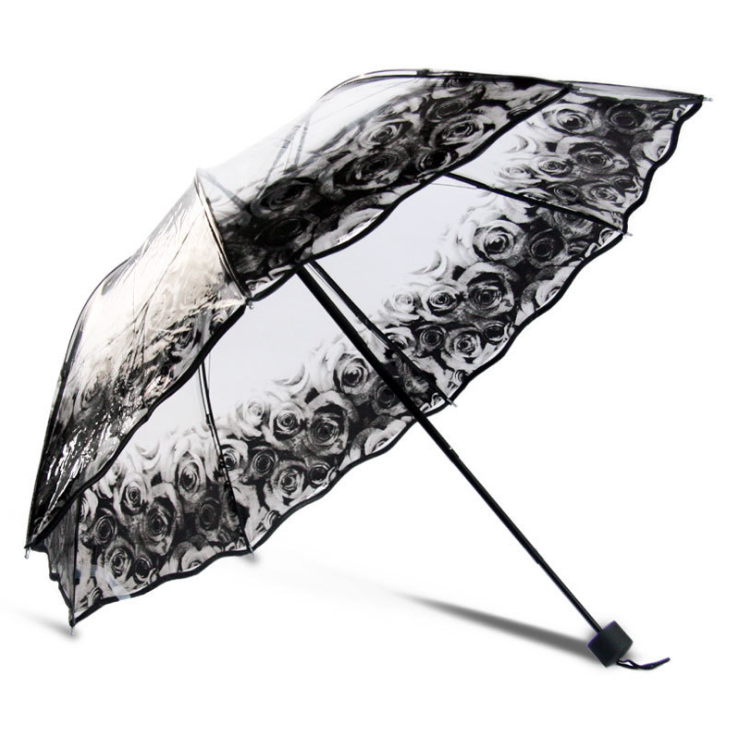 Transparent Umbrella Print Umbrella