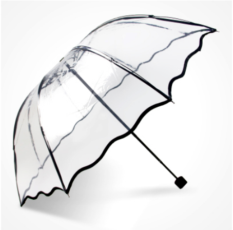 Transparent Umbrella Print Umbrella